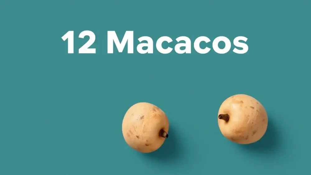 12 Macacos: resumo sem spoilers, bem direto em 1 minuto today